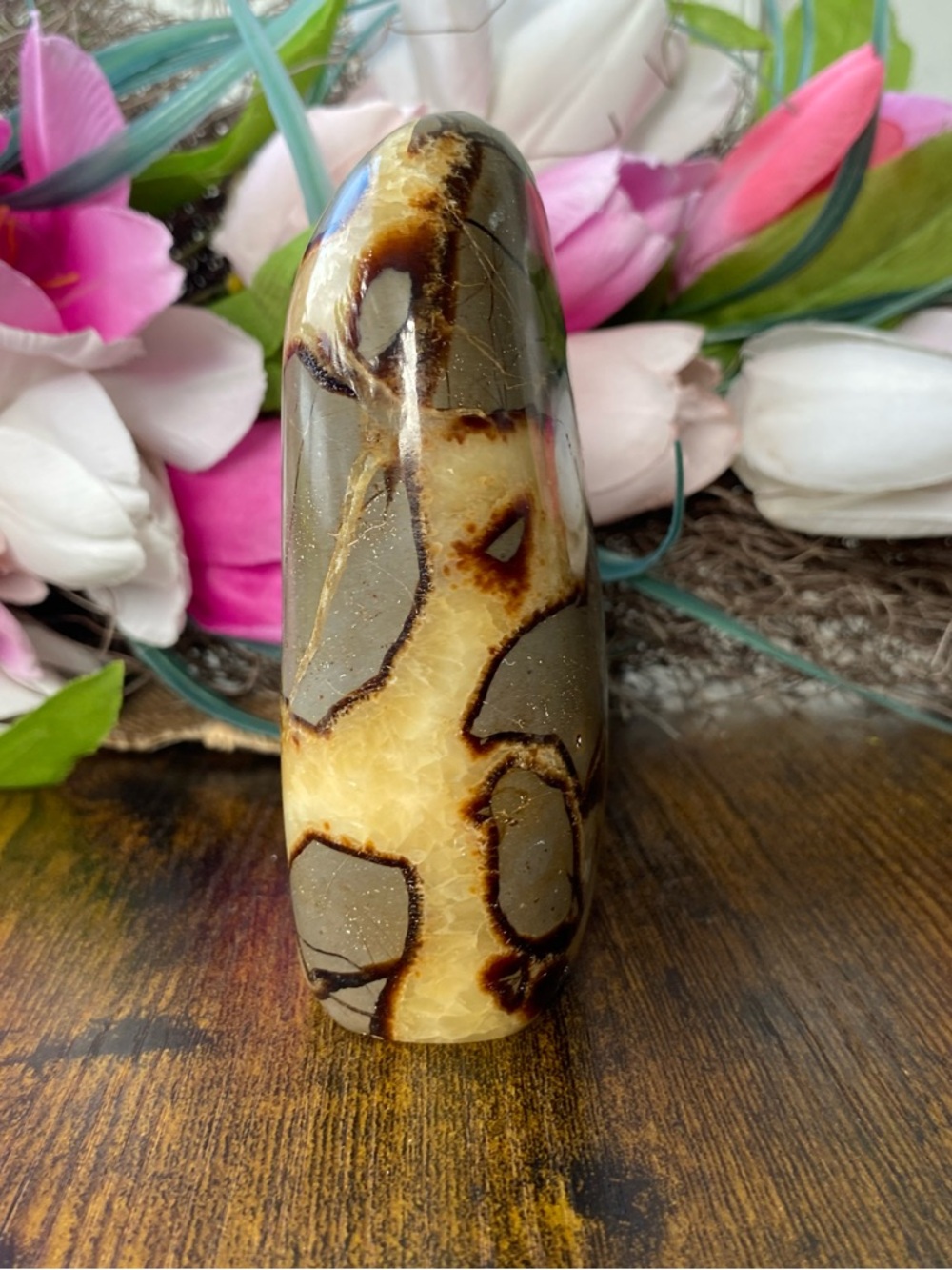 Septarian Freeform - Picture 4 of 12